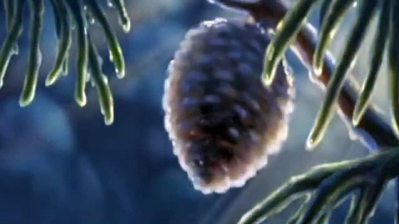 VID_20241101_163459