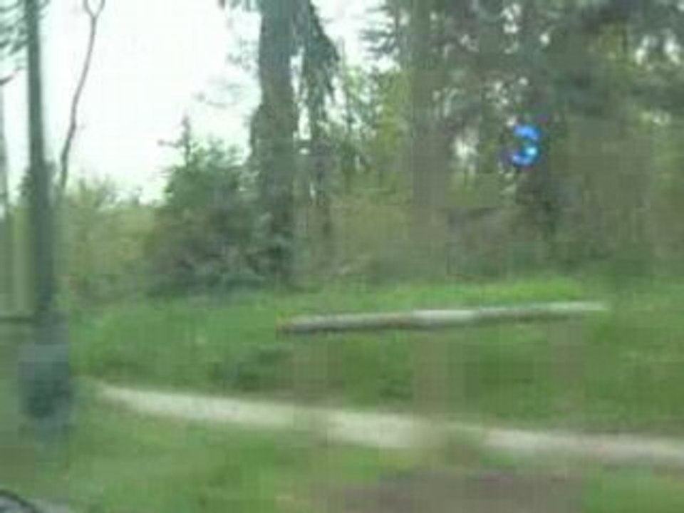 Bois de Boulogne