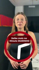 Mãe e filhote de elefante-marinho se despedem de SC após amamentação