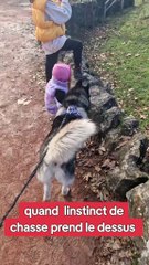 son instinct en plein zoo heureusement qu il etait attaché