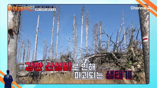 ※해독 다이어트 솔루션※ 체질을 개선하고 건강하게 살 빼는 '레몬 주스'