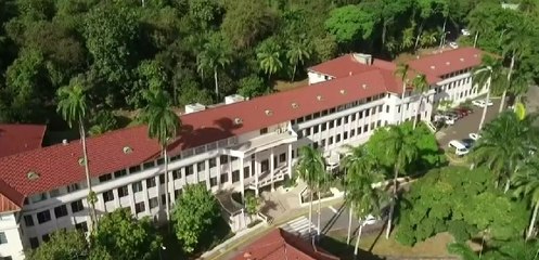 Corte admite demanda de inconstitucionalidad contra caso New Business