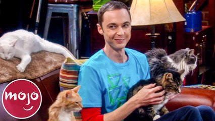 Top 10 Funniest Sheldon Cooper Meltdowns