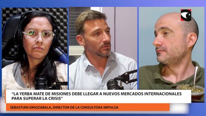 “La yerba mate de Misiones debe llegar a nuevos mercados internacionales para superar la crisis”
