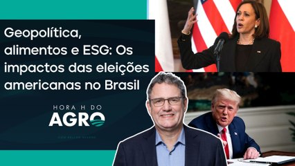 Eleição nos EUA: o que muda para o Brasil com Trump ou Kamala? | HORA H DO AGRO