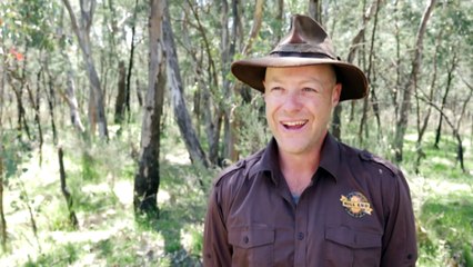 Golden journey – this NSW gold miner panned for the perfect wedding ring