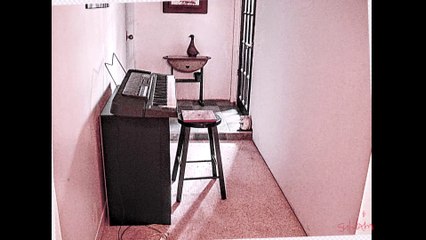 A MESS OF ORGAN (ELECTRIC KEYBOARD) SOUNDS & VISION. FROM BACH TO GENESIS NOTES BANK & KEYS