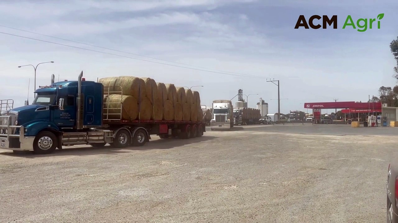 South Australia hay run gathers at Tailem Bend