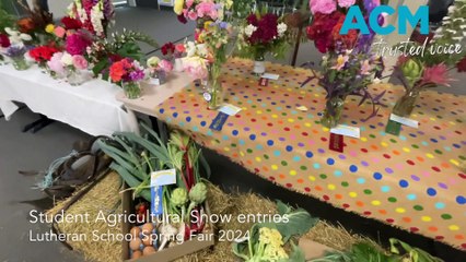 Join the Excitement at the 2024 Lutheran School Spring Fair 🌸