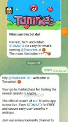 TOMARKET CHEATING DETECTED APPEAL | SYA VLOG