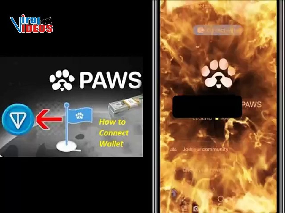 PAWS Airdrop - How to Connect Wallet