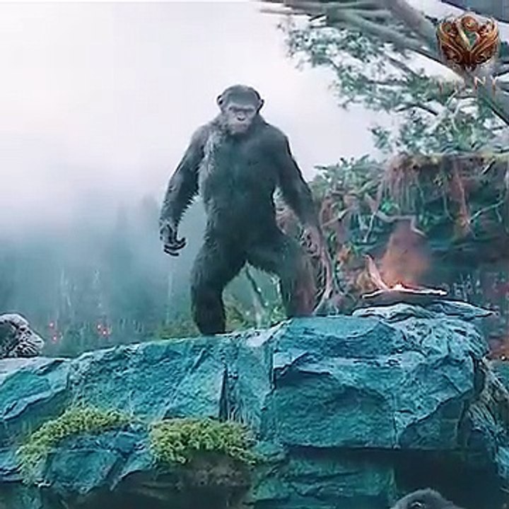Hollywood Movie Scene, Best Seen, Movie Clips, Best Seen In Movie