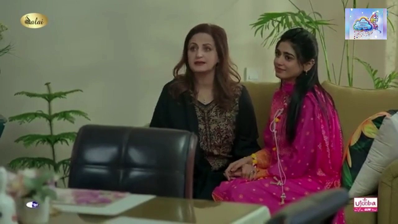 Jafaa - Ep 24 [CC] - 1st Nov 2024 - Sponsored By Salai, Masterpaints & Ujooba Beauty Cream