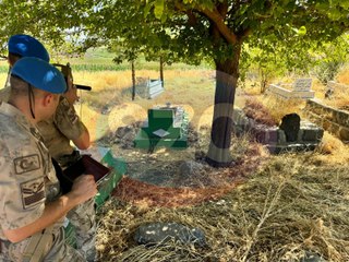 Görüntüler sadece SÖZCÜ’de: Narin bulunmasın diye jandarma mezarlığa yönlendirilmiş