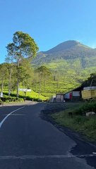 Wonosobo siap menunggumu ketua. Dalan anyar Wonosobo kalau cerah seindah ini