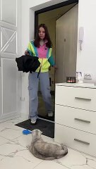 There was no trace of Sonya_s pranks  _cat _cats(360P)