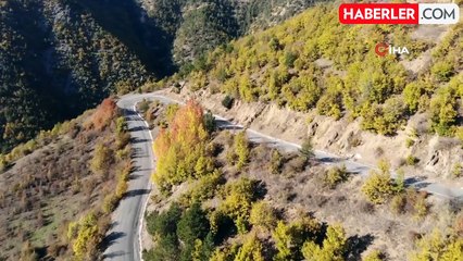 Zigana Dağı'nda Sonbahar ve Kış Bir Arada