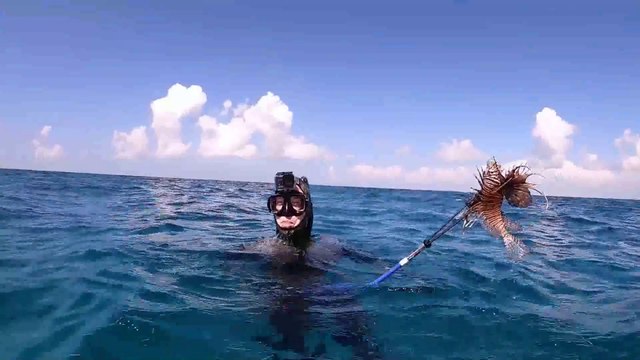 2 Day Florida Fishing Catch & Cook - Lobster, Lionfish & Snapper Spearfishing Trip