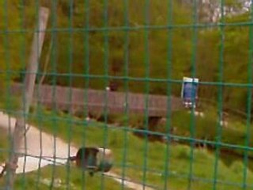 Vidéo-0019