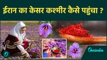 History Of Saffron: ईरान से कश्मीर तक कैसा रहा केसर का सफर | वनइंडिया हिन्दी