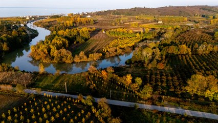 Melen Çayı Havzası'nda hazan mevsiminde renk çümbüşü