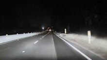 نظام تسلا للقيادة الذاتية يفشل في رؤية غزال ويصطدم به