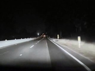 نظام تسلا للقيادة الذاتية يفشل في رؤية غزال ويصطدم به