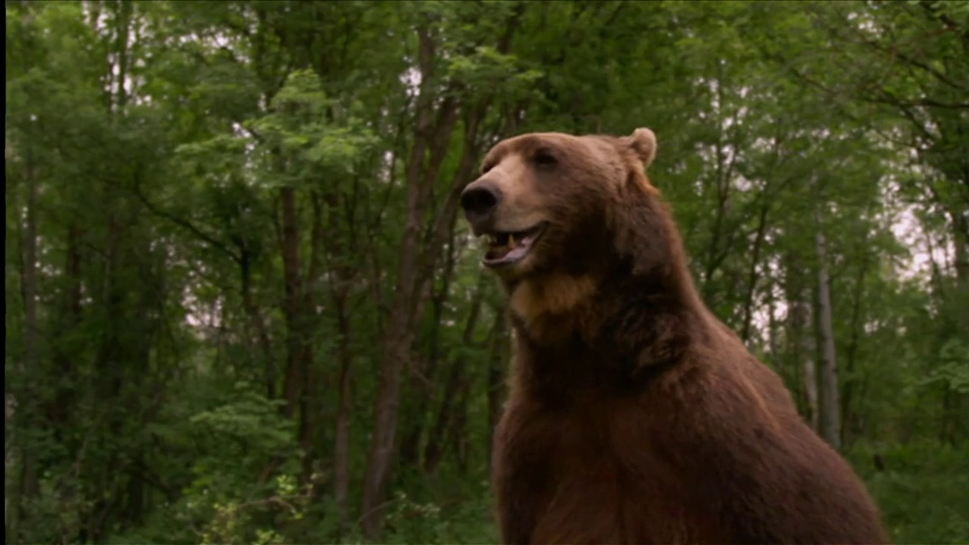 Friends for Life 2008 - Free Family Movies