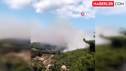 Hatay'da Orman Yangını: Müdahale Başladı