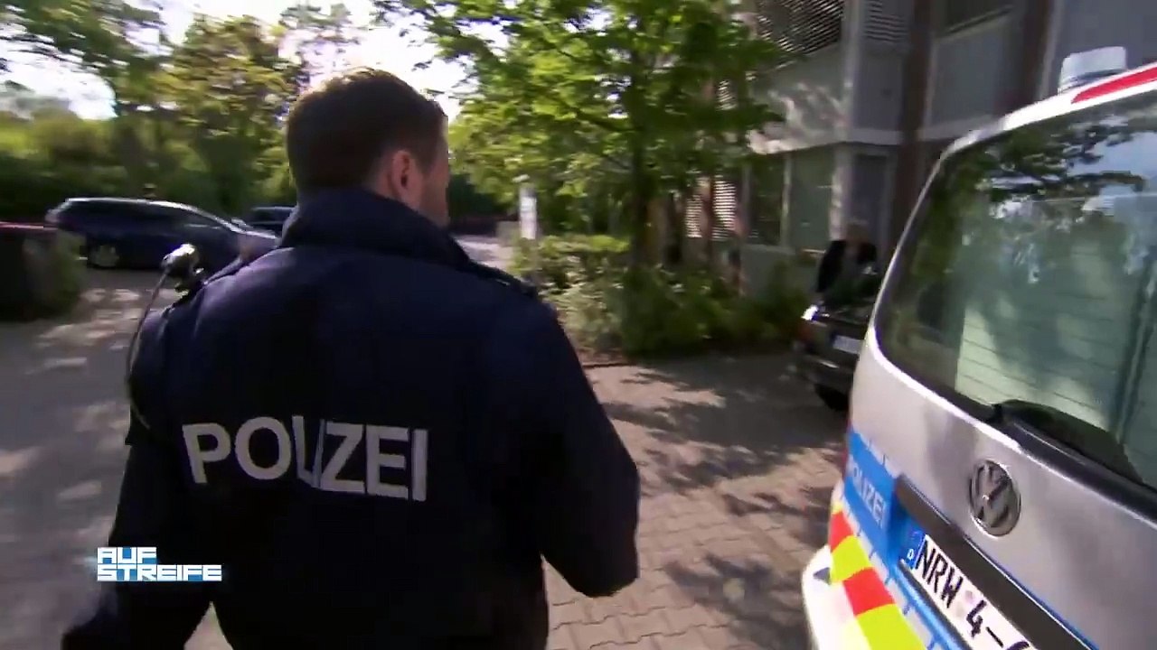 Autounfall mit dramatischer Wendung _ Auf Streife _ SAT.1 TV