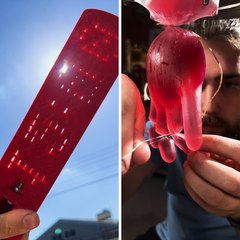 Jelly Berry in a glove and pen DIY crossbow! Testing 3d printed solar clock and more!