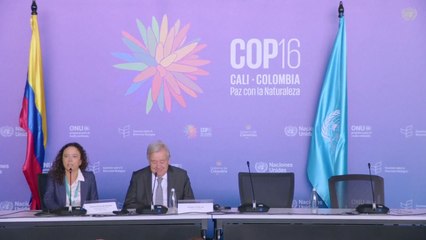 유엔 생물다양성 총회 '원주민 대표기구' 신설 합의 / YTN