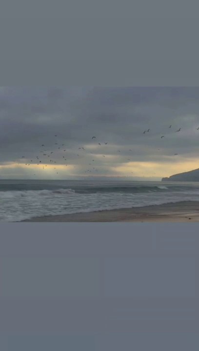 Beautiful Evening On Beach