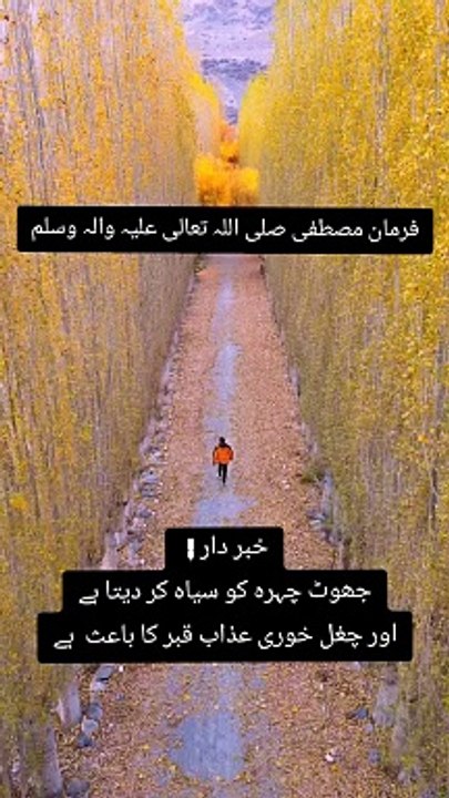 Understanding Islam: Inspiring Islamic Teachings and Lessons from the Quran"New Islamic tik tok video  #shorts #islam #tiktok