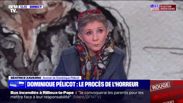 C'est choquant : l'avocate de Dominique Pelicot revient sur la diffusion des vidéos lors du procès des viols de Mazan