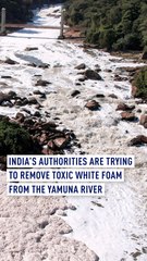 India’s authorities are trying to remove toxic white foam from the Yamuna river