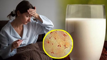टाइफाइड में बकरी का दूध पीने से क्या होता है | Typhoid Me Bakri Ka Doodh P-eena Chahiye Ya Nahi
