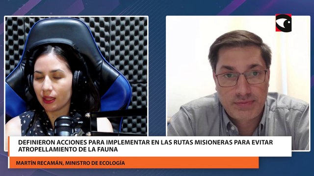 Definieron acciones para implementar en las rutas misioneras para evitar atropellamiento de la faunaDefinieron acciones para implementar en las rutas misioneras para evitar atropellamiento de la fauna