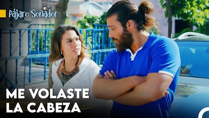 Te Convertiste En El Sol En Mi Mundo Oscuro - Pájaro Soñador