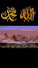 surah yaseen 5new 1#IslamicShorts #shorts #QuranRecitation #foryou