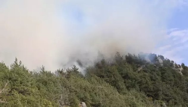 Hatay’ın Arsuz ilçesinde orman yangını