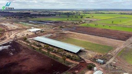 Next-Level Calving Barns - Airflow Innovation at Glowrey Dairies