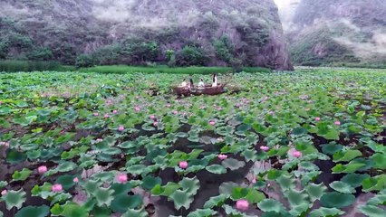 Tập 3 - Tam Sinh Tam Thế Chẩm Thượng Thư (Thuyết Minh) | Địch Lệ Nhiệt Ba, Cao Vỹ Quang, Vương Kiêu, Viên Vũ Huyên, Lý Đông Hằng, Lưu Vũ Hân, Lưu Nhuế Lân, Trương Văn.