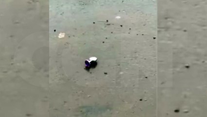 Depois da calcinha amarela, Plug Anal é encontrado em rua de Cascavel