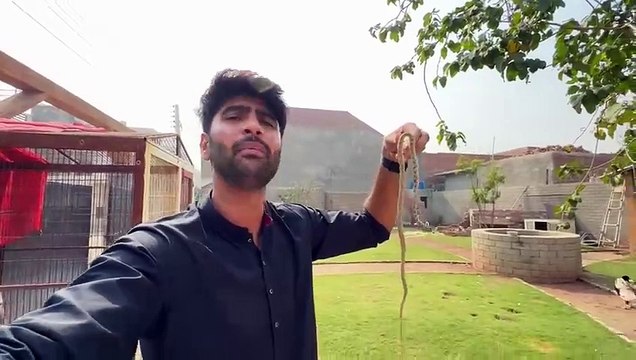 shehar mein dehat ep 76 2024 animal mini zoo Real Snake Mil Gea Lkn Sath Main Nuqsan Bhi Kr Giya