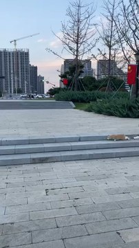 Back To His Save House Follow For More Videos Have Virelreels Growaccount ...!!