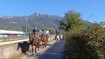 Camaiore, tutti in coda per la Fiera: per evitarla c'? chi ci va... a cavallo