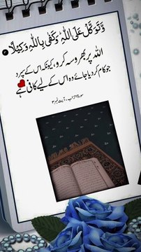 Beautiful Islamic video #islamicquotes #islamicstatus #islamicsayings #islamicshorts #islamicpost