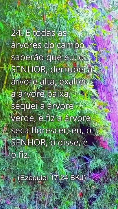 Ezequiel 17:24