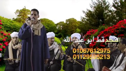 الفنان القط ابوعبدالله موال صعبان عليا الاصيل لما تبهدله الايام انتاج المهندس